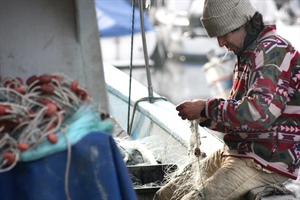 Pesca: Alleanza cooperative, sistema in tilt per accedere a misure sostegno reddito. Sì a proroga termini