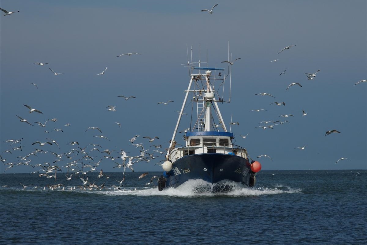 Pesca: Alleanza Cooperative, riduzione delle giornate di pesca non serve a tutelare risorse