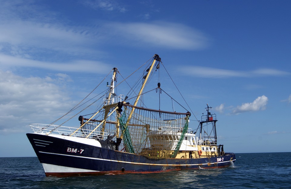 Recovery Plan: Alleanza Cooperative pesca, economia del mare strategica per il rilancio del Paese